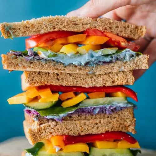 Rainbow Sandwich, the Best Vegan Sandwich