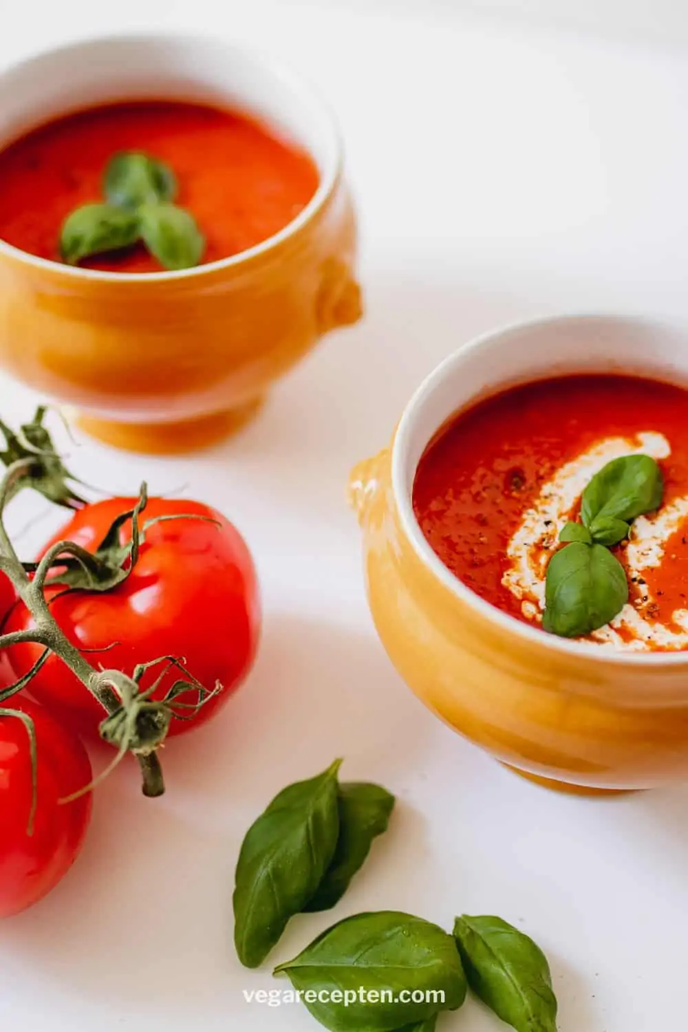 Verse tomatensoep maken tomatensoep recept