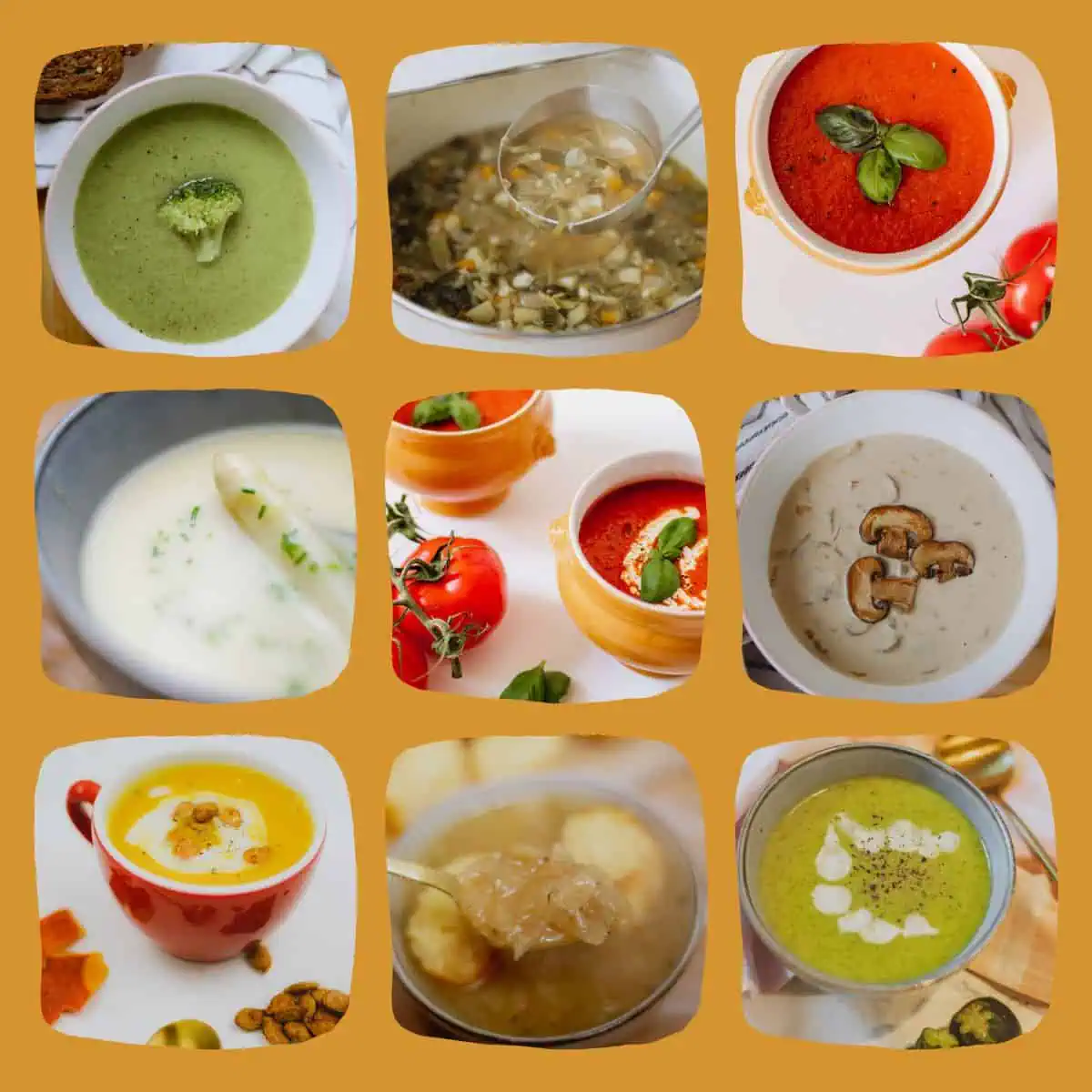 Vegetarische soep recepten